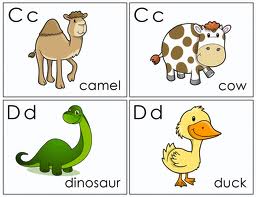 Flash Cards Number and Colours Flash Cards Number and Colours