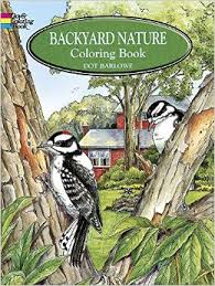 Backyard Nature Coloring Book Backyard Nature Coloring Book
