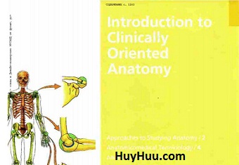 Introduction to Clinically Oriented Anatomy Introduction to Clinically Oriented Anatomy