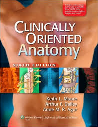 Clinically Oriented Anatomy 6th Edition Clinically Oriented Anatomy 6th Edition