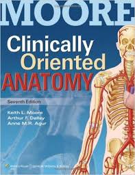 Clinically Oriented Anatomy 7th Edition Clinically Oriented Anatomy 7th Edition
