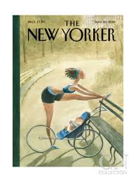 Magazines The New Yorker 25 May 2015 USA