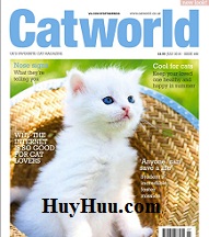 Magazines Cat World July 2016