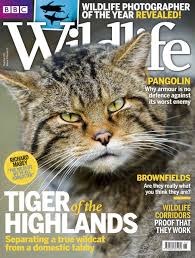 Magazines BBC Wild Life November 2015