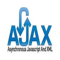 Professional Ajax(programming)