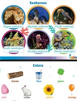 Seahorse Nursery Posters Seahorse Nursery Posters