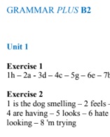Grammar Plus B2 Answer Keys