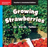 MACMILLAN Leveled Readers Teachers Annotated Editions Grade 1- Growing Strawberries