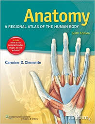 Anatomy A Regional Atlas of the Human Body 6th Edition by Carmine D Clemente