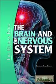 The Brain and the Nervous System - The Human Body by Kara Rogers