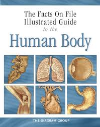 The Facts on File Illustrated Guide to the Human Body - Diagram Group Brain and Nervous System The Facts on File Illustrated Guide to the Human Body - Diagram Group Brain and Nervous System