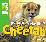 My Life in the Wild Cheetah - Animal Planet My Life in the Wild Cheetah - Animal Planet
