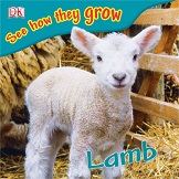 DK See How They Grow - Lamb DK See How They Grow - Lamb