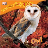 DK See How They Grow - Owl