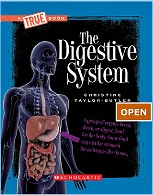 Human Body Flash Books Scholastic - The Digestive System Human Body Flash Books Scholastic - The Digestive System