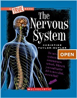 Human Body Flash Books Scholastic - The Nervous System Human Body Flash Books Scholastic - The Nervous System