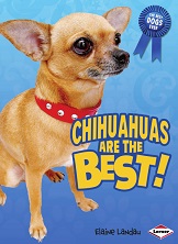 The Best Dogs Ever - Chihuahuas Are the Best The Best Dogs Ever - Chihuahuas Are the Best