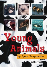 HARCOURT Leveled Readers Grade 1 Below-level - Young Animals