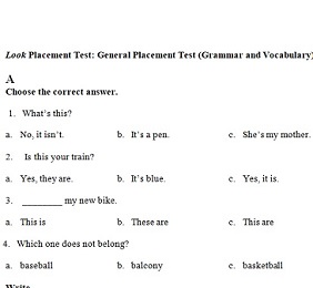 Look American Placement Tests Look American Placement Tests