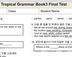 Topical Grammar Practice 3 Final Test Topical Grammar Practice 3 Final Test