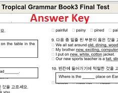Topical Grammar Practice 3 Final Test Answer Keys Topical Grammar Practice 3 Final Test Answer Keys