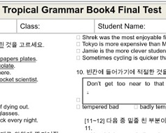 Topical Grammar Practice 4 Final Test Topical Grammar Practice 4 Final Test