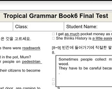 Topical Grammar Practice 6 Final Test Topical Grammar Practice 6 Final Test