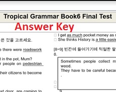 Topical Grammar Practice 6 Final Test Answer Keys