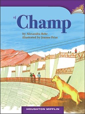 Houghton Mifflin Readers Grade 3 - Champ