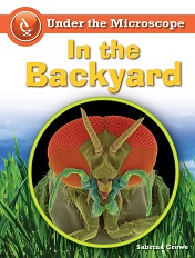 Under the Microscope - In the Backyard by Sabrina Crewe Under the Microscope - In the Backyard by Sabrina Crewe