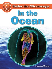 Under the Microscope - In the Ocean by Sabrina Crewe Under the Microscope - In the Ocean by Sabrina Crewe