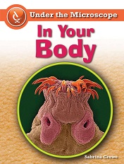 Under the Microscope - In Your Body by Sabrina Crewe Under the Microscope - In Your Body by Sabrina Crewe