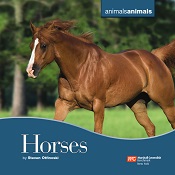 Animals Animals Horses by Steven Otfinoski