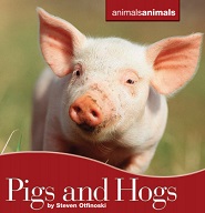 Animals Animals Pigs and Hogs by Steven Otfinoski