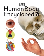 DK Human Body Encyclopedia DK Human Body Encyclopedia