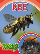 Garden Minibeasts Up Close - Bee by John Woodward Garden Minibeasts Up Close - Bee by John Woodward
