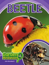 Garden Minibeasts Up Close - Beetle by John Woodward Garden Minibeasts Up Close - Beetle by John Woodward