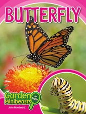 Garden Minibeasts Up Close - Butterfly by John Woodward Garden Minibeasts Up Close - Butterfly by John Woodward