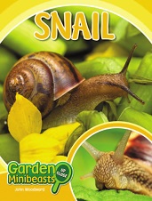 Garden Minibeasts Up Close - Snail by John Woodward Garden Minibeasts Up Close - Snail by John Woodward