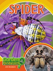 Garden Minibeasts Up Close - Spidery by John Woodward Garden Minibeasts Up Close - Spidery by John Woodward