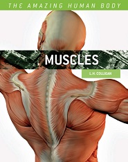 The Amazing Human Body - Muscles by L H Colligan The Amazing Human Body - Muscles by L H Colligan