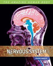 The Amazing Human Body - Nervous System by George Capaccio The Amazing Human Body - Nervous System by George Capaccio