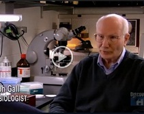 Discovery School - 100 Greatest Discoveries TopTen VIDEO Discovery School - 100 Greatest Discoveries TopTen VIDEO