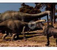 Discovery School - 100 Greatest Discoveries Evolution VIDEO