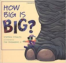 How Big Is Big by Stephen Strauss