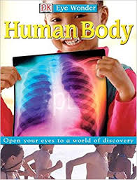 DK Eye Wonder - Human Body DK Eye Wonder - Human Body