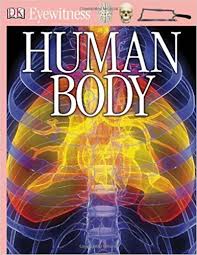 DK Eyewitness - Human Body DK Eyewitness - Human Body