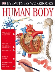 DK Eyewitness Workbooks - Human Body DK Eyewitness Workbooks - Human Body