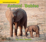 MACMILLAN Leveled Readers Animals Kindergarten - Animal Babies MACMILLAN Leveled Readers Animals Kindergarten - Animal Babies