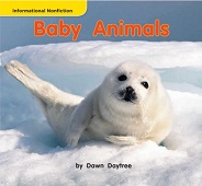 MACMILLAN Leveled Readers Animals Kindergarten - Baby Animals